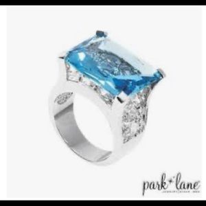 💙Beautiful Noelle By Park Lane Sz 6 NWT